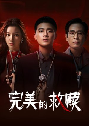 The Perfect Suspect (2025)